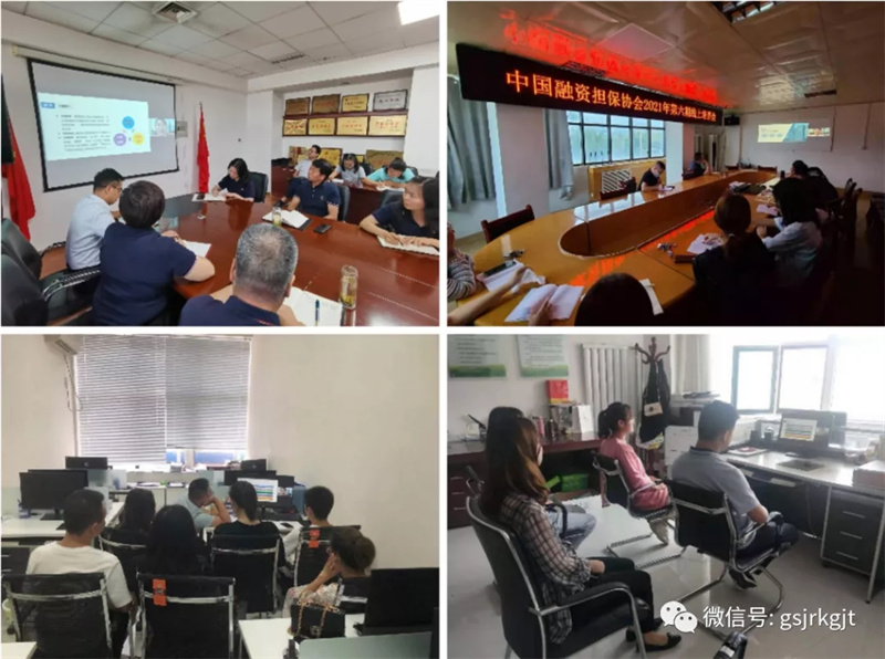 甘肃再担保组织县区担保公司参加中国融资担保协会第六期线上培训会